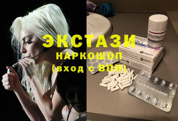 стаф Магас