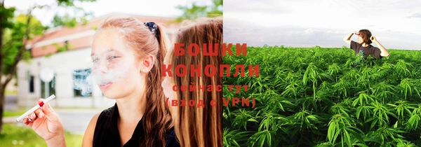 соль ск Лихославль